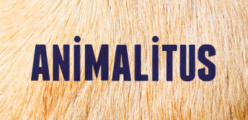 Animalitus